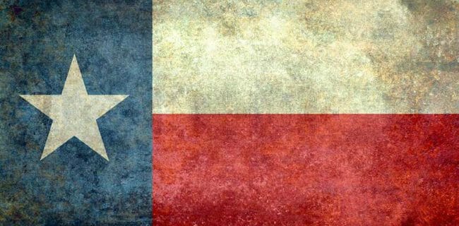 Texas Flag NRA-ILA