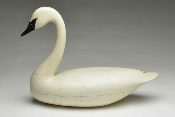 Guyette & Deeter Swan by Charles Birch