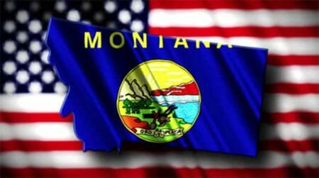 Montana Flag and State, IMG MSSA