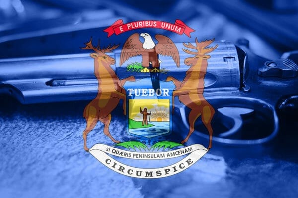 Michigan Gun Flag iStock-884193816