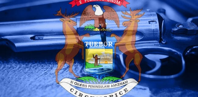 Michigan Gun Flag iStock-884193816