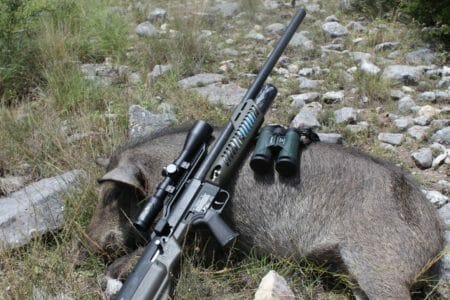 I was surprised at how fast the Umarex .50 cal. Hammer air rifle slapped down this boar. I can't wait to hunt more with it.