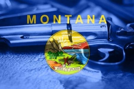 Second Amendment Supporters Can Make A Major Montana Gain