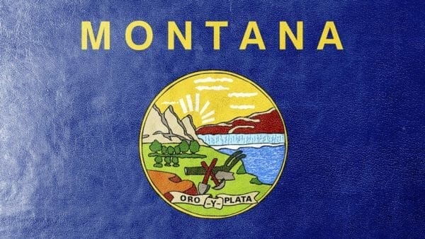 Montana Flag NRA-ILA