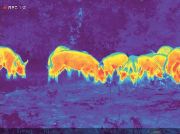 Thermion XG50 Rainbow