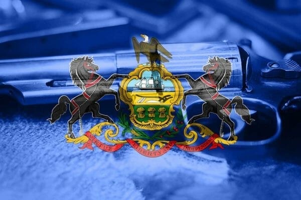 Pennsylvania Appeals Court Finds Life in 10th Amendment to Declare PLCAA Void, iStock-884188404