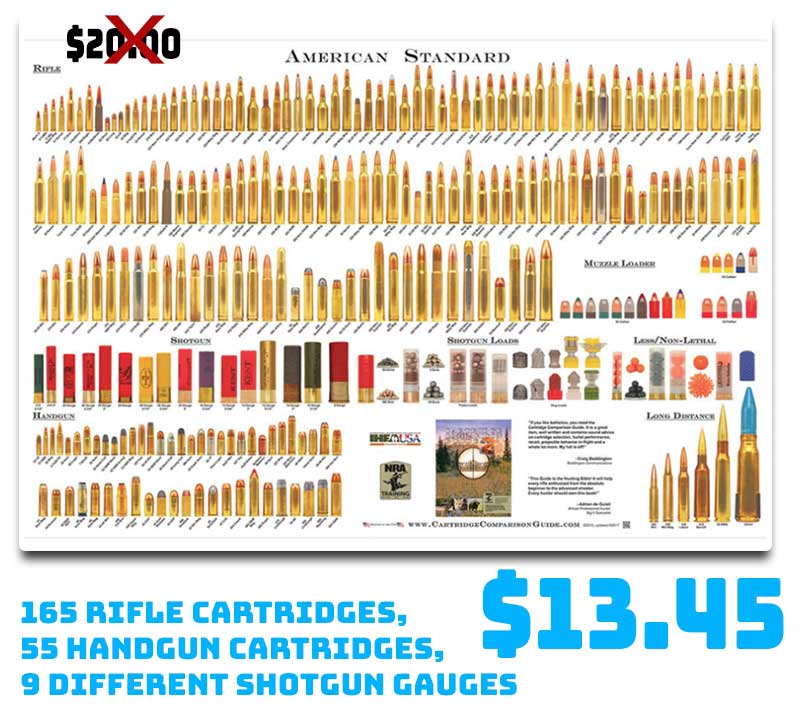 Cartridge Case Comparison Poster