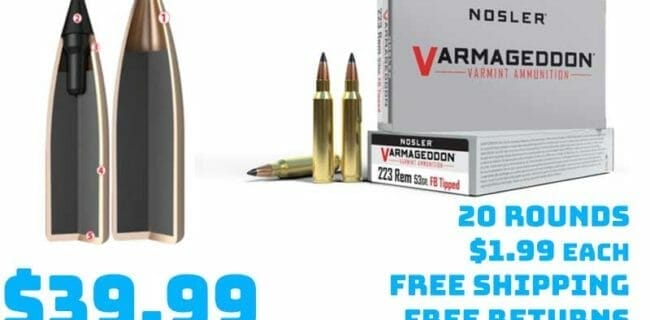 Nosler .223 Remington Flat Base Tipped 53 grain Ammunition Deal