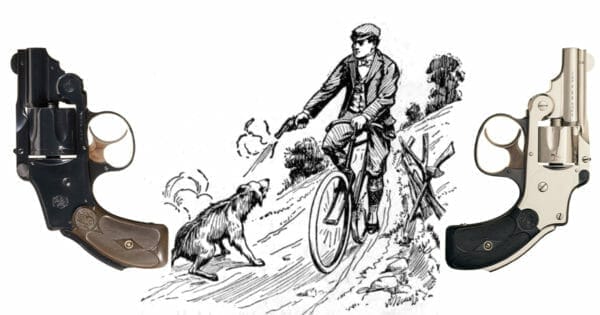 bicycle-gun-600x315.jpg