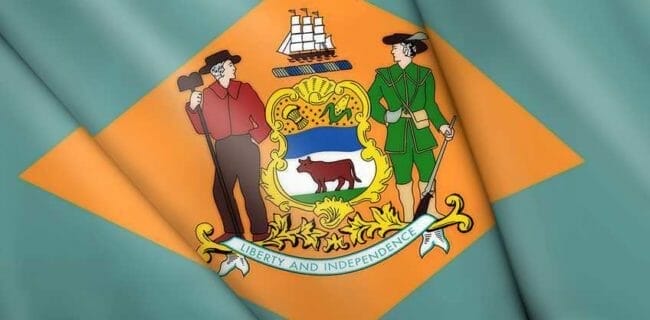 Delaware Flag NRA-ILA