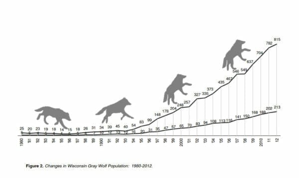 This chart shows the wolf population increase in Wisconsin, 1980 to 2012