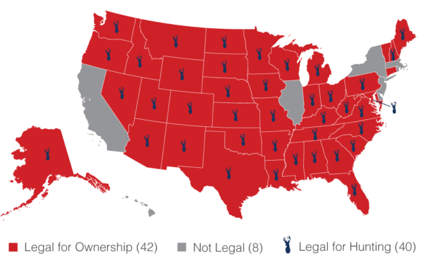 Where you can legally hunt with Suppressors in 2021 by state.