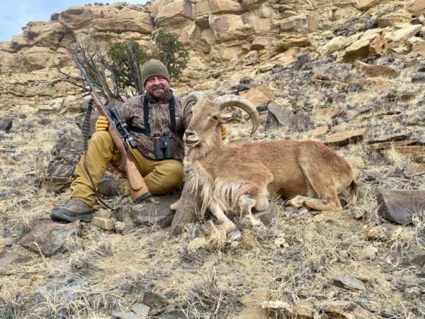 Brandon Butler Aoudad