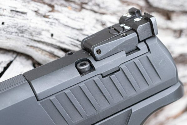 PPQ Q4 Rear Sight