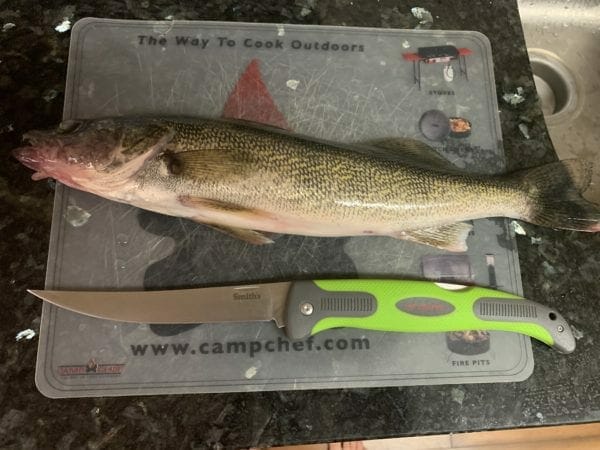 The MR. CRAPPIE 6IN FLEX FOLDING FILLET is a great folding fillet knife to throw in your tackle box.