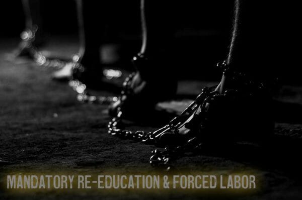 Mandatory Re-Education & Forced Labor iStock-ilkaydede 611625384