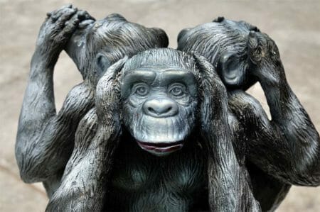 See No Evil Monkeys AdobeStock_83949313