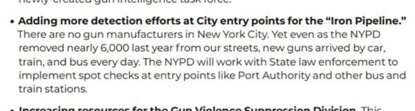 NYC's Blueprint to End Gun Violence Call for Check Points