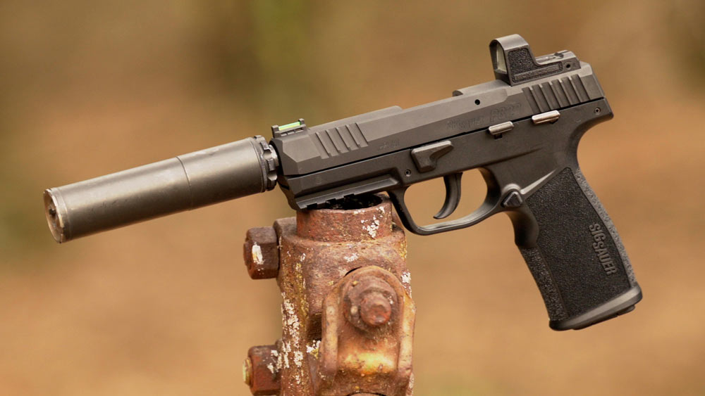 SIG Woods2