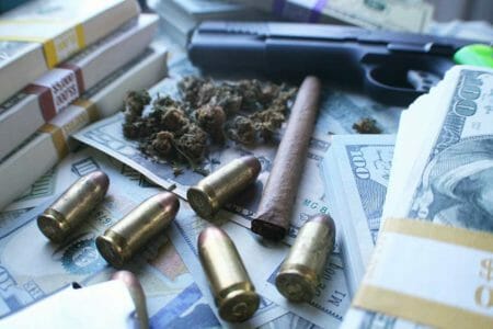 Florida Agriculture Commissioner Suing ATF Over Cannabis Prohibition on 4473, iStock-987175274