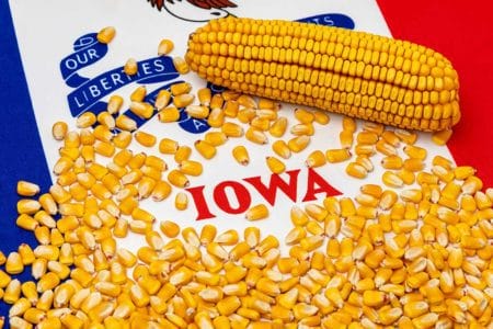 Iowa Corn Liberty iStock-JJ Gouin 1392620223