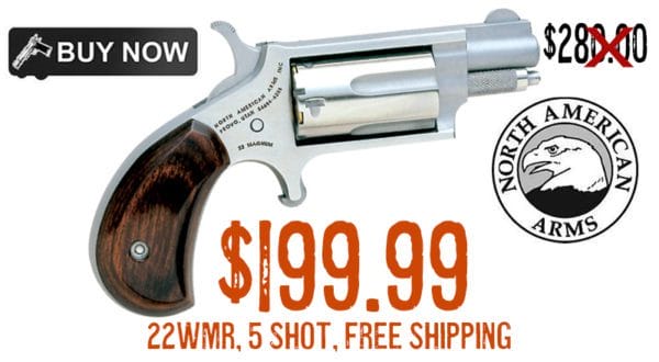 North American Arms Stainless Mini Revolver 22WMR Sale