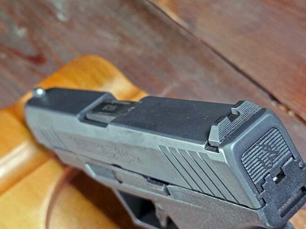 Taurus GX4XL 9mm EDC Pistol sights