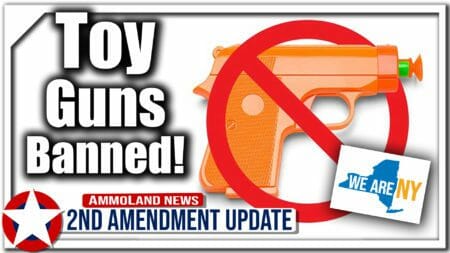 Hochul & New York Ban Toy Guns