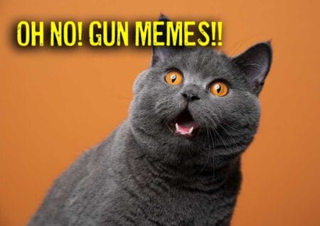 gun memes iStock-Nils Jacobi 1361394182