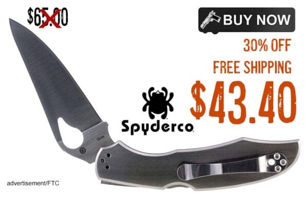 Spyderco Byrd Cara 2 SS 3.75 Folding Spear Point lowest price