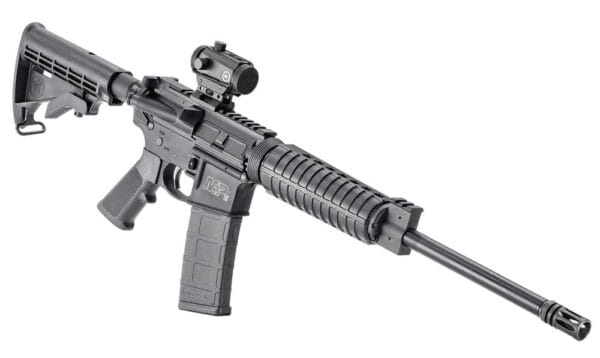 Smith & Wessons M&P15 SPORT II OR 30 ROUNDS