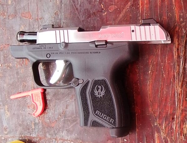 The Ruger LCP Max was fun and pleasant to shoot.