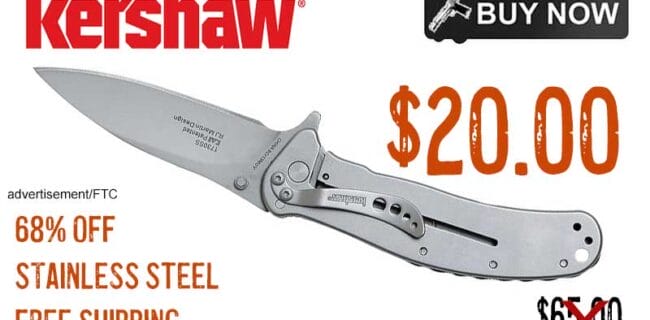 Kershaw Zing Ss Pocketknife lowest price