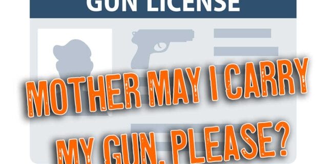 gun license permission slip iStock-Oleksandr Hruts 1468255807
