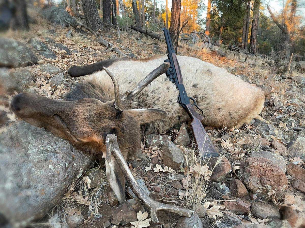 Big-bore hunting rifles and big game IMG Laura Burgess Marketing