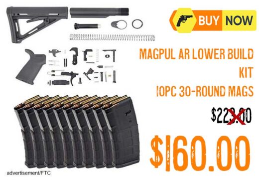 PSA Magpul MOE Lower Build Kit & 10 Magpul Pmag 30Rd Magazines lowest price nov2025