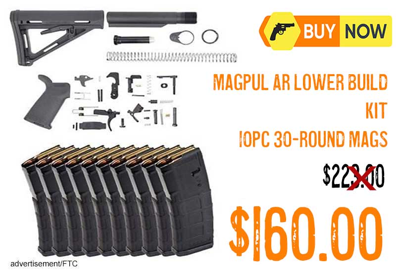 PSA Magpul MOE Lower Build Kit & 10 Magpul Pmag 30Rd Magazines lowest price nov2025