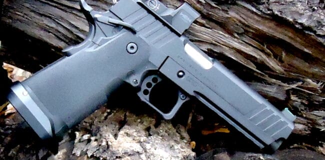 Springfield Prodigy