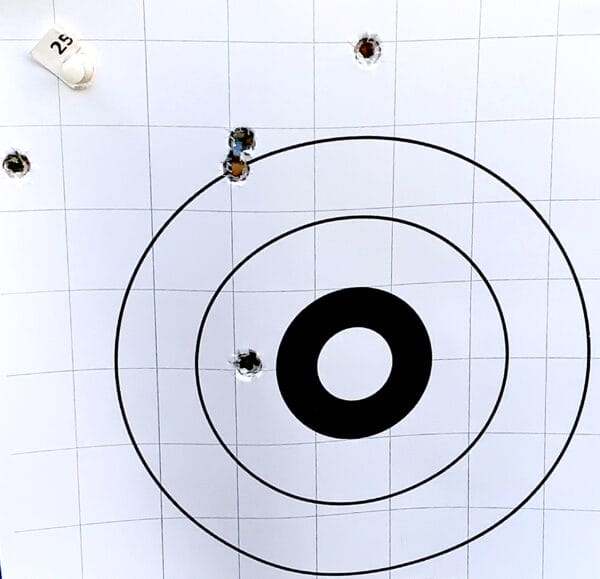 Walther PP-CCI-95-gr-FMJ-target