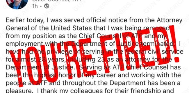 Pamela Hicks LinkedIn Statement 02-2025 You're Fired