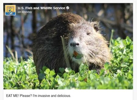 U.S. Fish and Wildlife Service Eat Me Nutria Post screengrab 2-27-2025