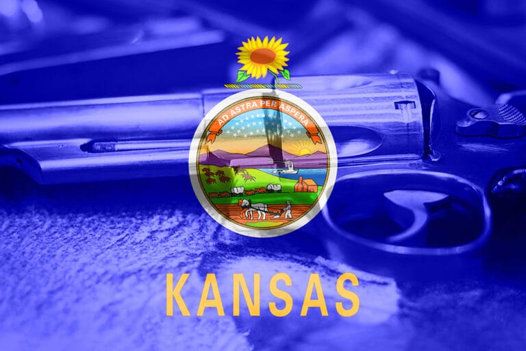 Kansas Senate Bill 137 Reforms Police Gun Sales