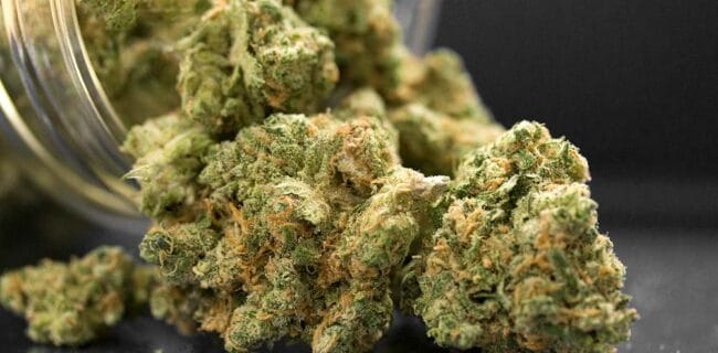 Supreme Court to Take Up Gun Ban for Illegal Drug Users, iStock-2164444987