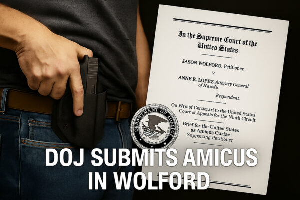 DOJ Files Amicus Brief In Hawaii Concealed Carry Case, image generated by AI
