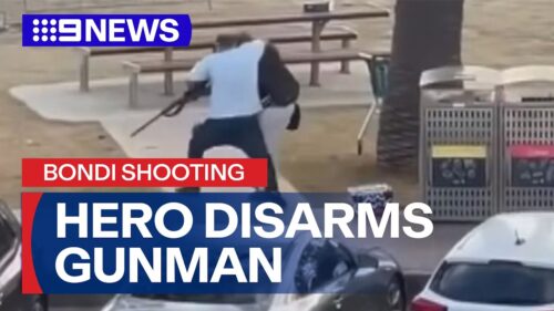 Australian Beach Attack: Don’t Allow Terrorist to Walk Away – VIDEO