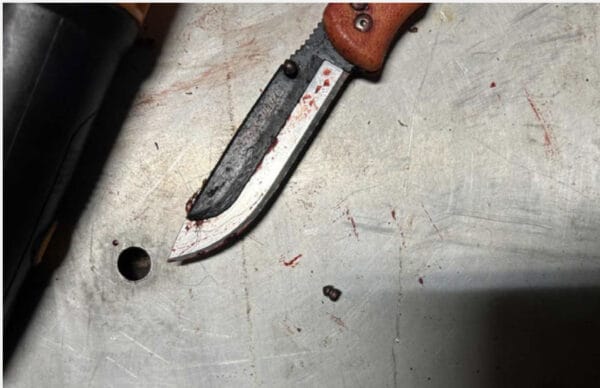 The pellet appears to be .177 caliber, using the knife bolt head to scale the pellet size. The bolt head is assumed to be .25 inches, the size of a bolt head on Outdoor Edge Razor-Lite knives. The knife seems to be a Outdoor Edge Razor-Lite variation, but the identification is not certain. The pellet could be distorted by impact forces, as well.