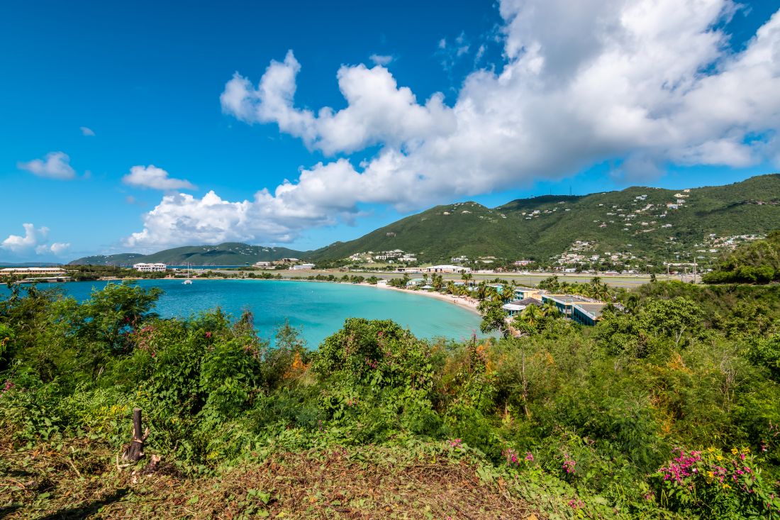 (Photo-illustration from licensed Shutterstock account.)