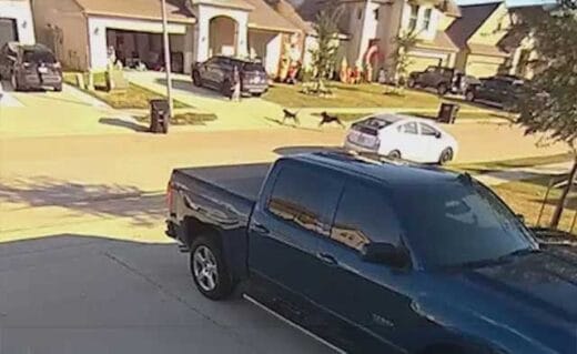 Video thumbnail for youtube video i1qeivhfjje