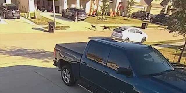 Video thumbnail for youtube video i1qeivhfjje