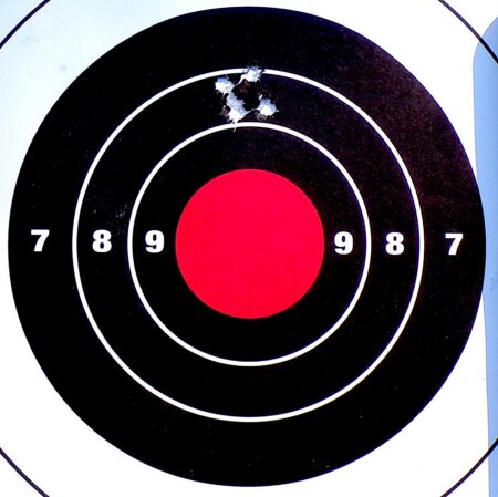 Ruger-Harrier-review-target3